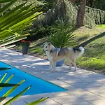 Casa vacanze Des Petites Fadettes 