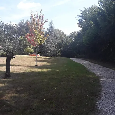 Des Petites Fadettes 