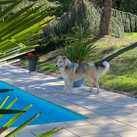 度假居 Des Petites Fadettes 