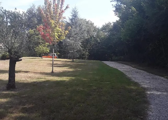 Des Petites Fadettes 