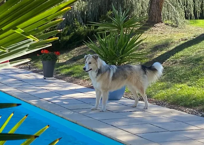 Ferienhaus Des Petites Fadettes 